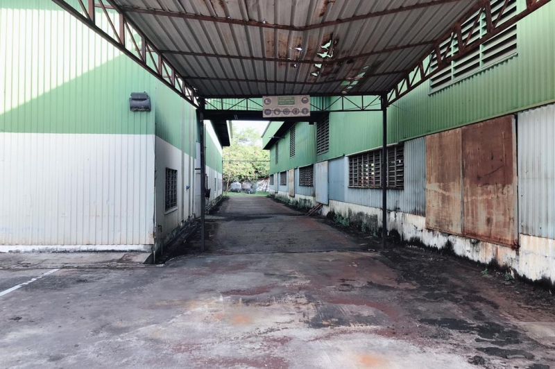 WhatsApp Image 2022-10-27 at 12.05.26.jpg