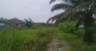 1 Acre Agricultural Land for Sale in Banting